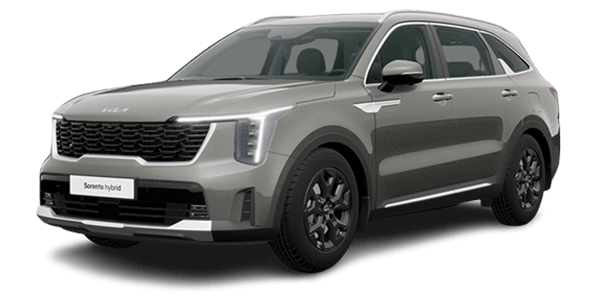 쏘렌토 장기렌트